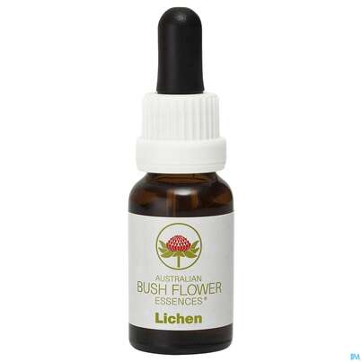Sie sehen eine Packung Aub Lichen Companion, Produktbild: 02 Aub Lichen Companion, A-Nr.: 3889043 - 02