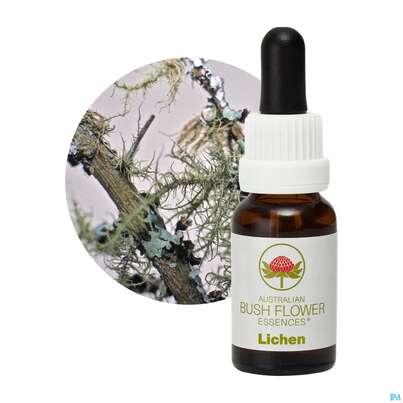 Sie sehen eine Packung Aub Lichen Companion, Produktbild: 04 Aub Lichen Companion, A-Nr.: 3889043 - 04