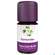 Sie sehen eine Packung Aetherische Oele Taoasis Bio Koriander 5ml, Produktbild: 02 Aetherische Oele Taoasis Bio Koriander 5ml, A-Nr.: 4372589 - 02