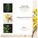 Furterer Absolue Kératine Ultimatives Repair-serum - Pflege Für Beschädigte Haarspitzen 30ml, A-Nr.: 5479591 - 23