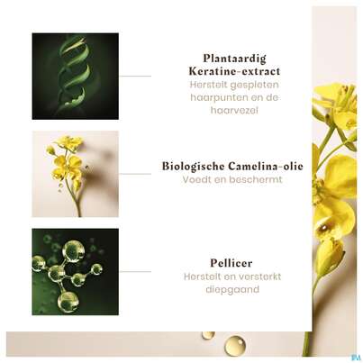 Furterer Absolue Kératine Ultimatives Repair-serum - Pflege Für Beschädigte Haarspitzen 30ml, A-Nr.: 5479591 - 23