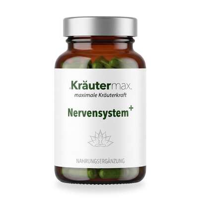 Sie sehen eine Packung Nervensystem plus Kapseln 60 Stück, Produktbild: 01 Nervensystem plus Kapseln 60 Stück, A-Nr.: 4730505 - 01
