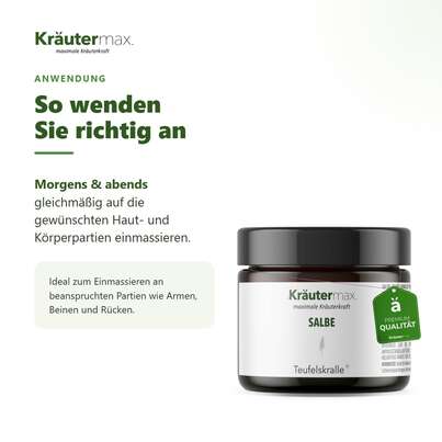 Sie sehen eine Packung Teufelskralle Salbe 100 ml, Produktbild: 04 Teufelskralle Salbe 100 ml, A-Nr.: 5138915 - 04