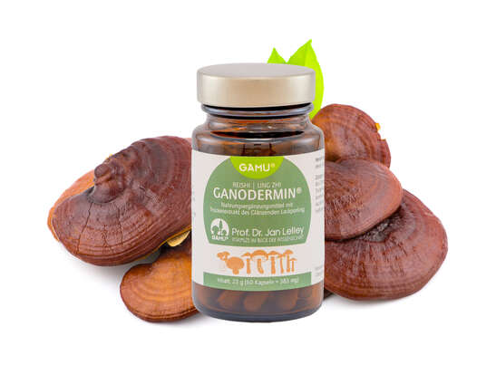 Gamu Bio Reishi | Ganodermin Kapseln, A-Nr.: 5600199 - 02