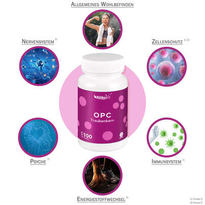 Sie sehen eine Packung BjökoVit OPC Traubenkern Kapseln vegan, Produktbild: 06 BjökoVit OPC Traubenkern Kapseln vegan, A-Nr.: 5174621 - 06