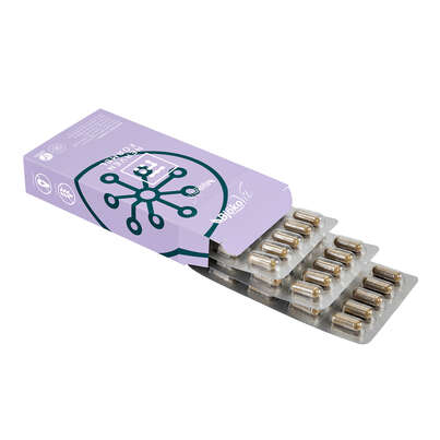Sie sehen eine Packung BjökoVit Nerven Formel Kapseln vegan, Produktbild: 04 BjökoVit Nerven Formel Kapseln vegan, A-Nr.: 5174673 - 04