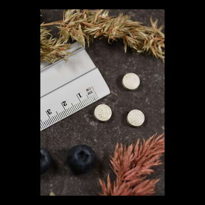 Sie sehen eine Packung Supplementa Kelp 225mcg Jod Tabletten, Produktbild: 04 Supplementa Kelp 225mcg Jod Tabletten, A-Nr.: 5395500 - 04