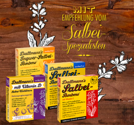 DALLMANN'S INGWER-SALBEI, zfr., 37g FS, A-Nr.: 5202903 - 03