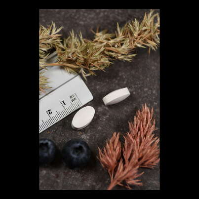 Sie sehen eine Packung Supplementa Betain HCL+ 250mg Tabletten, Produktbild: 04 Supplementa Betain HCL+ 250mg Tabletten, A-Nr.: 5395457 - 04