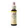 Sie sehen eine Packung Bach®-Blüte Nr. 36 Wild Oat (Waldtrespe), Produktbild: 01 Bach®-Blüte Nr. 36 Wild Oat (Waldtrespe), A-Nr.: 5323417 - 01