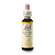 Sie sehen eine Packung Bach®-Blüte Nr. 36 Wild Oat (Waldtrespe), Produktbild: 03 Bach®-Blüte Nr. 36 Wild Oat (Waldtrespe), A-Nr.: 5323417 - 03