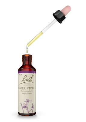 Sie sehen eine Packung Bach®-Blüte Nr. 34 Water Violet (Sumpfwasserfeder), Produktbild: 03 Bach®-Blüte Nr. 34 Water Violet (Sumpfwasserfeder), A-Nr.: 5323392 - 03