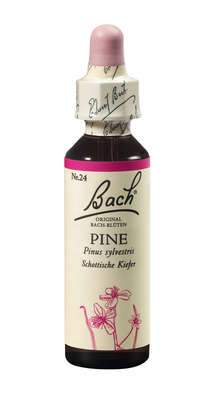 Bach®-Blüte Nr. 24 Pine (Schottische Kiefer), A-Nr.: 5323021 - 01