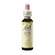 Bach®-Blüte Nr. 23 Olive (Olive), A-Nr.: 5323015 - 01