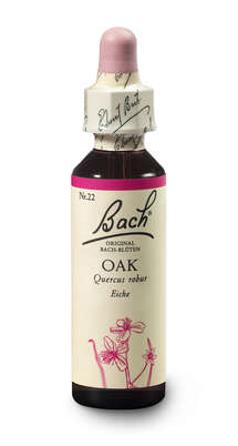 Bach®-Blüte Nr. 22 Oak (Eiche), A-Nr.: 5323009 - 02