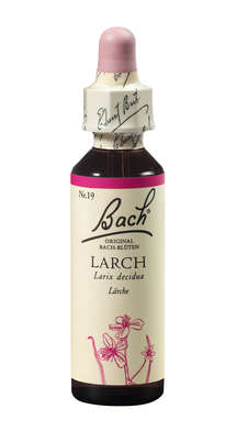 Bach®-Blüte Nr. 19 Larch (Lärche), A-Nr.: 5322978 - 01