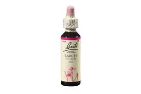 Bach®-Blüte Nr. 19 Larch (Lärche), A-Nr.: 5322978 - 01