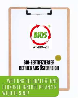 Auwald® - Betthupferl - BIO Tropfen (Auszug, Extrakt, Essenz), A-Nr.: 5679887 - 03