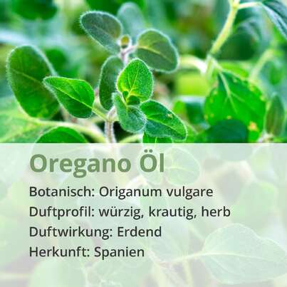 Oregano Öl, A-Nr.: 5296399 - 02