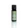 Ätherisches Öl Holy Basil Blend, A-Nr.: 5431638 - 03