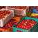 BIO Acerola Vitamin C Fruchtpulver, mit 17% natürlichem Vitamin C, 500g, A-Nr.: 5229032 - 05