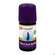 Sie sehen eine Packung Aetherische Oele Taoasis Bio/demeter Lavendel Fein 5ml, Produktbild: 01 Aetherische Oele Taoasis Bio/demeter Lavendel Fein 5ml, A-Nr.: 3164334 - 01