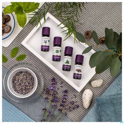 Sie sehen eine Packung Taoasis Lavendelöl Fein, Bulgarien Bio 10ml, Produktbild: 08 Taoasis Lavendelöl Fein, Bulgarien Bio 10ml, A-Nr.: 3496510 - 08