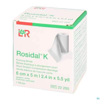 Elastische Binden Rosidal Hautfarben Kraeftig 5mx 6cm 1st, A-Nr.: 0472213 - 02