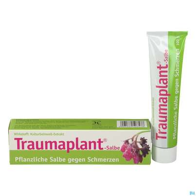 Hws Traumaplant Salbe 100ml, A-Nr.: 2726184 - 02