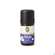 Sie sehen eine Packung Primavera Duftmischung Traeum Suess 5ml, Produktbild: 01 Primavera Duftmischung Traeum Suess 5ml, A-Nr.: 5202659 - 01