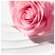 Nuxe Very Rose Clean/milk Reinigungsmilch 200ml, A-Nr.: 5301321 - 05