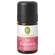 Sie sehen eine Packung Primavera Duftmischung In Balance 5ml, Produktbild: 02 Primavera Duftmischung In Balance 5ml, A-Nr.: 5344543 - 02