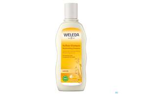 Shampoon Weleda Hafer Aufbau 190ml, A-Nr.: 4021878 - 01